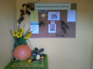 dzienny klub seniora w krośnie